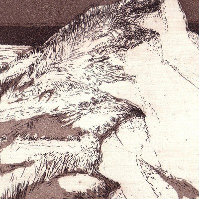Ordrup Naes, 20x30 cm, Aquatinta