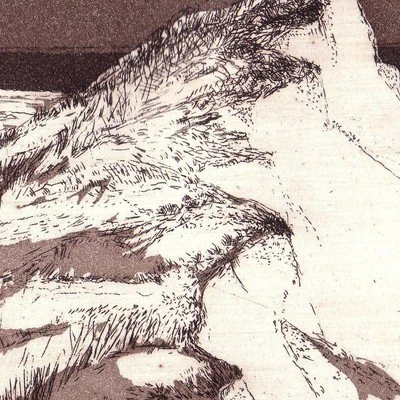 Ordrup Naes, 20x30 cm, Aquatinta