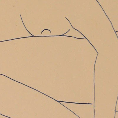 Akt, 30x20 cm, Kugelschreiber